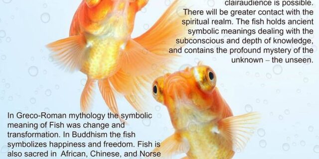 The Fish Totem: Navigating Change with Grace and Power 60 51a34e444f471807ec0fe2087b25ef77