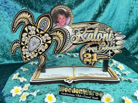 Photo Gallery 45 The Turtle Key